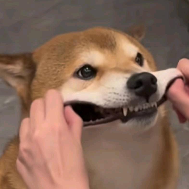 小邓不熬夜