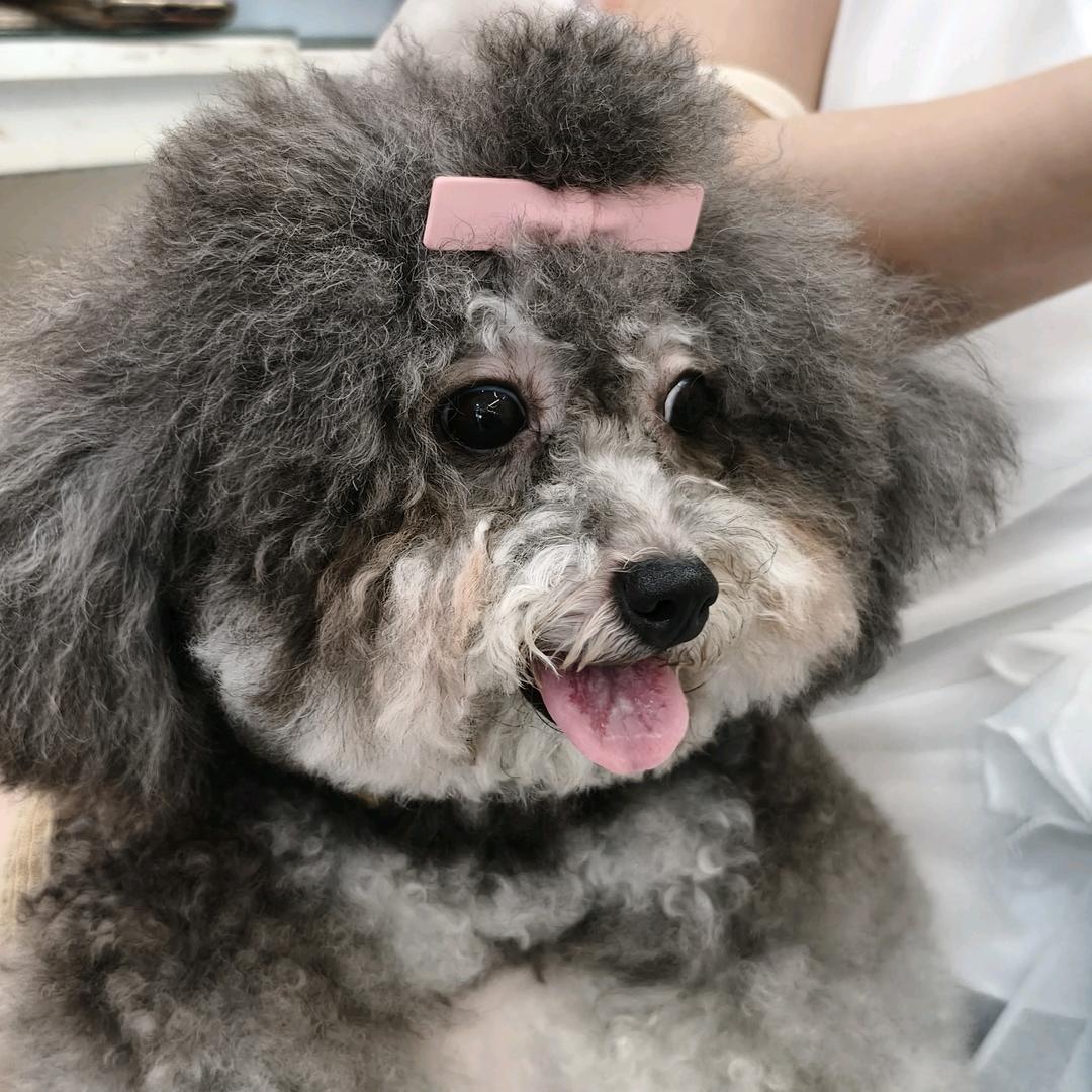 邵群
