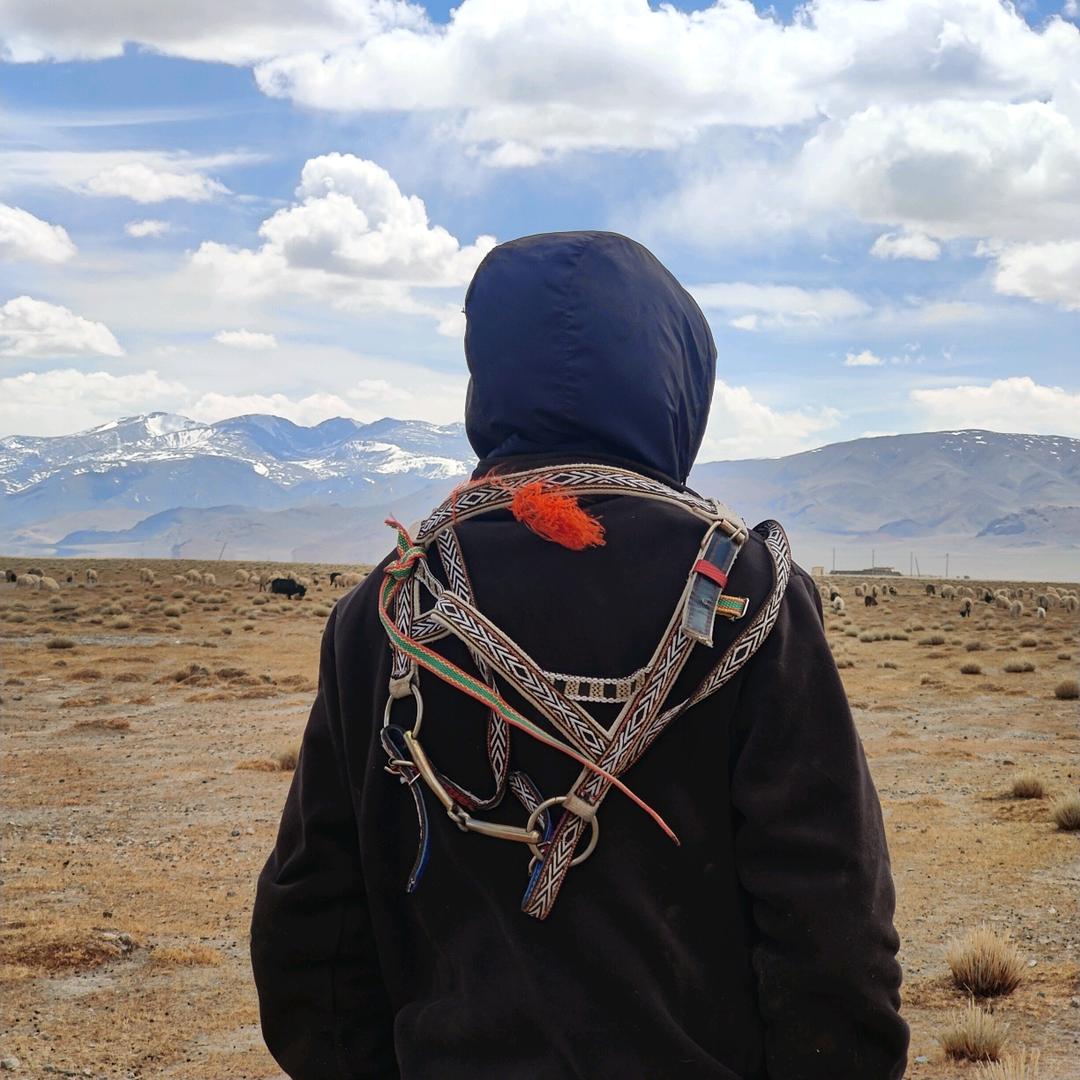 བུ་桑珠