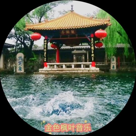 金色枫叶音乐