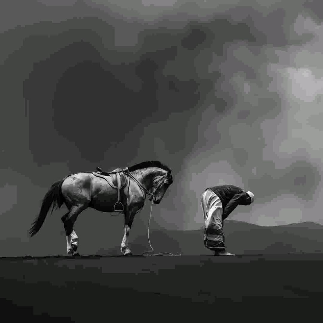 黑马🐎🐎