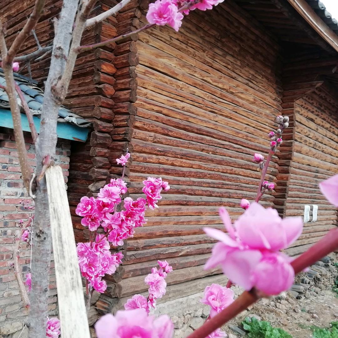 飞扬