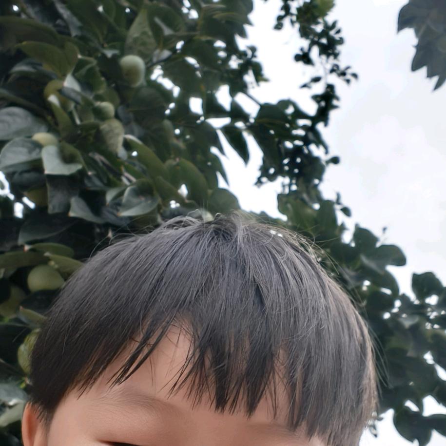 郭成利晚20.30首播