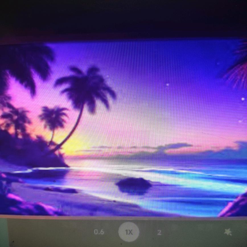 浮生若梦.