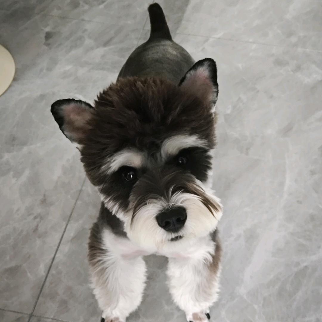 CY