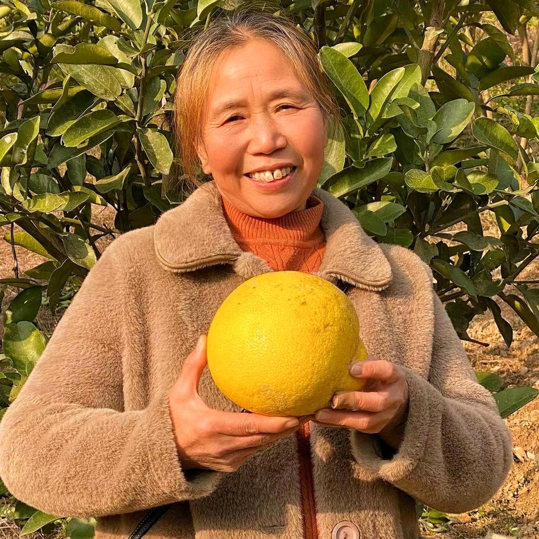 李子姐(中午11.28)