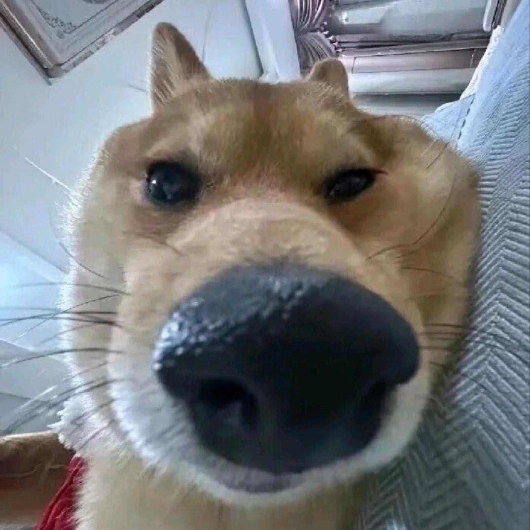 打球要带脑