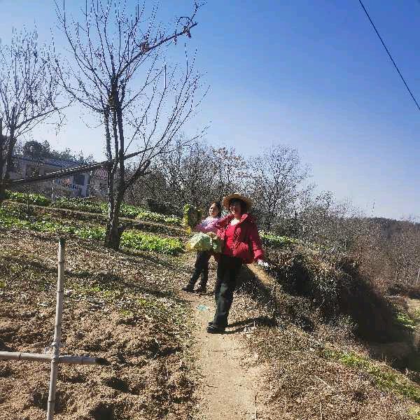 🐰无名