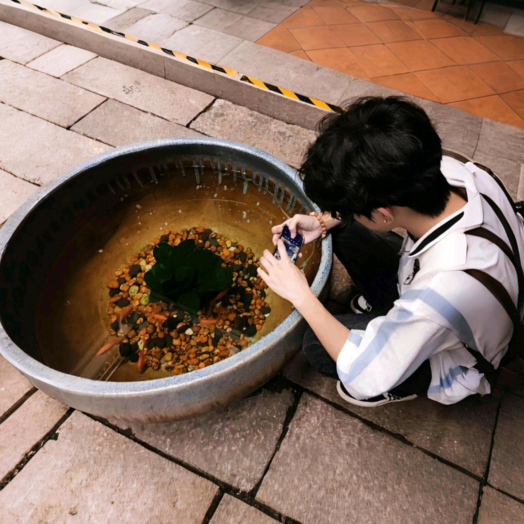 泽丰大大|˛˙꒳˙)