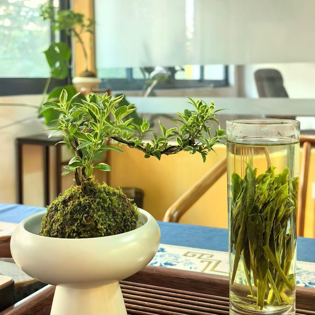 琪琪ε٩(๑>₃<)۶з