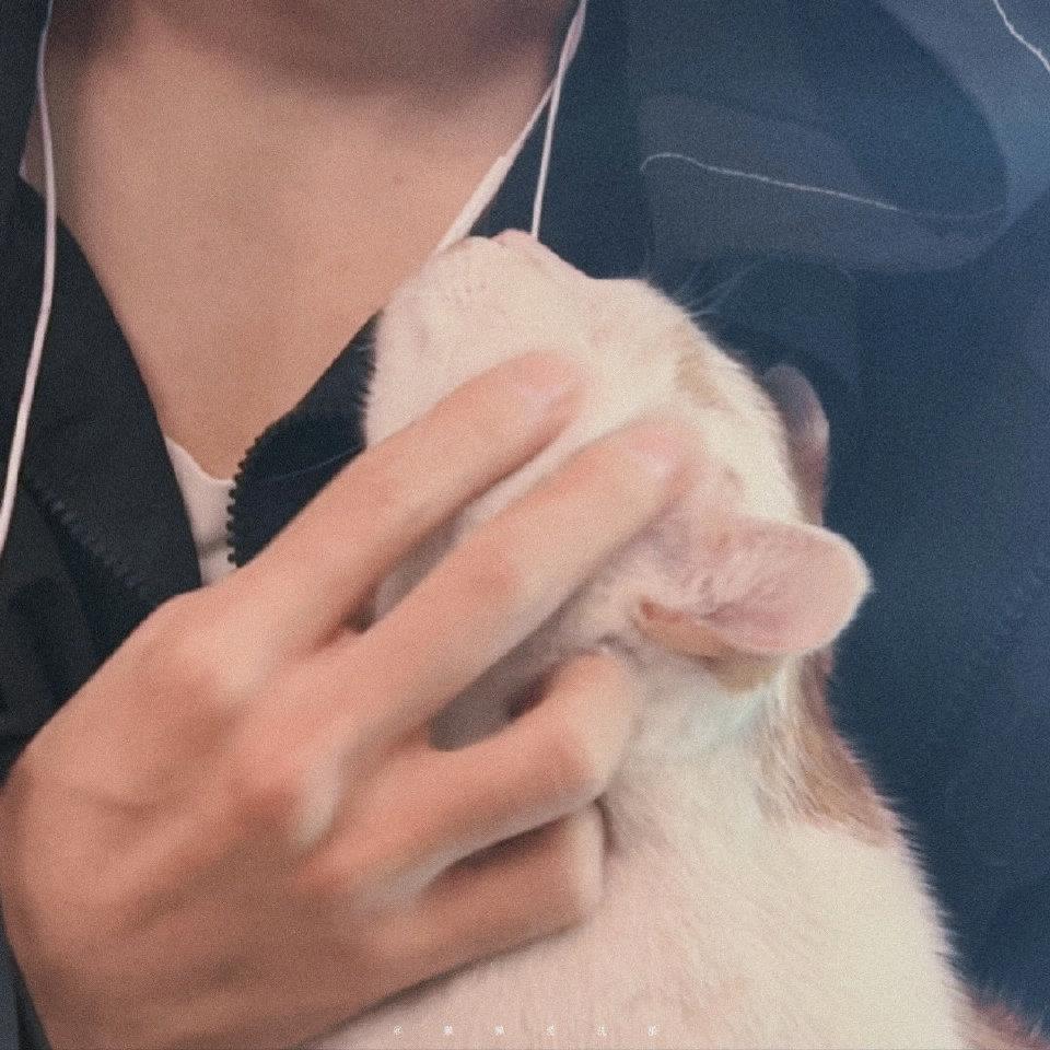 十年的风