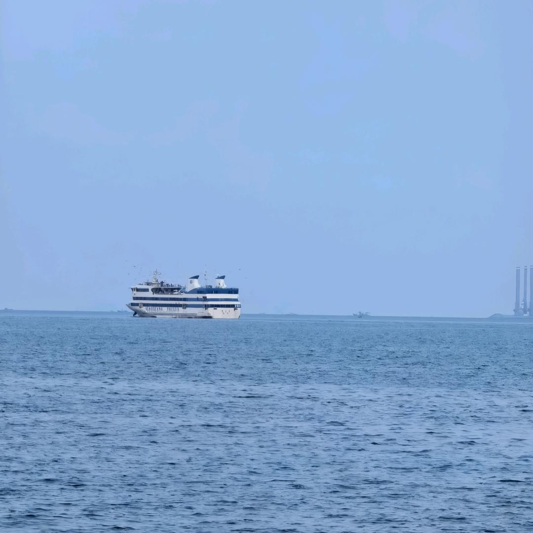 满园失了春色