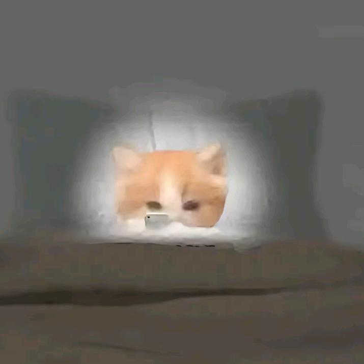 yy呜呜