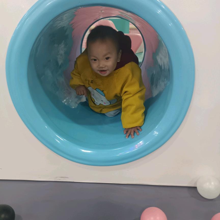 洋洋宝贝