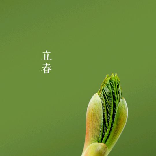 a余生