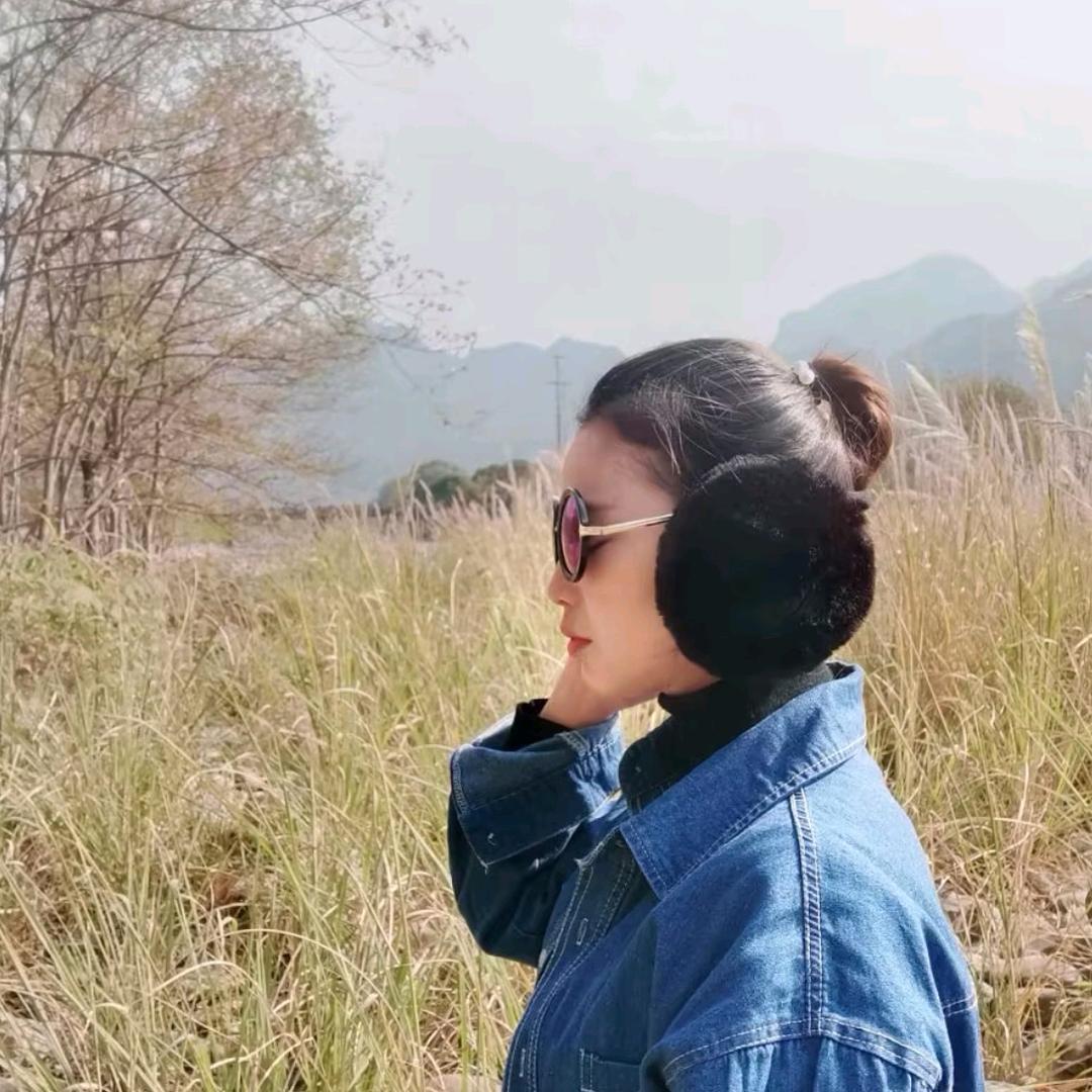 山里的刺猬