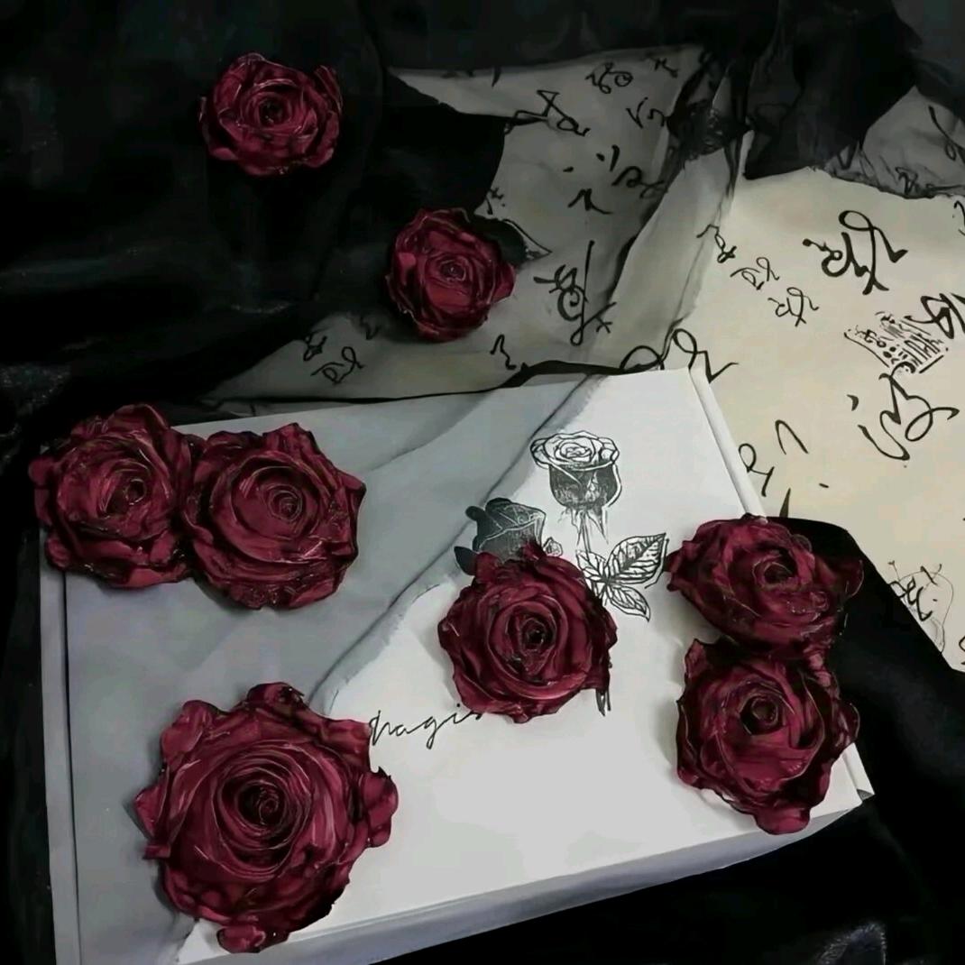柒柒