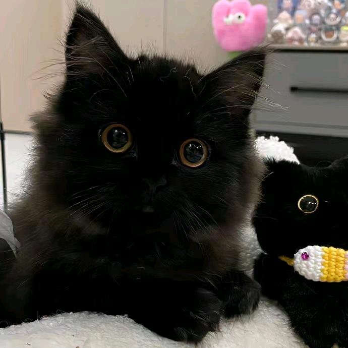 🌈好运似有若无