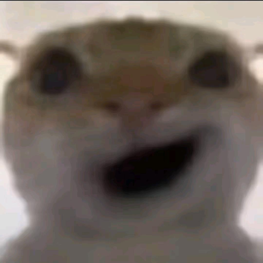 阿柒七