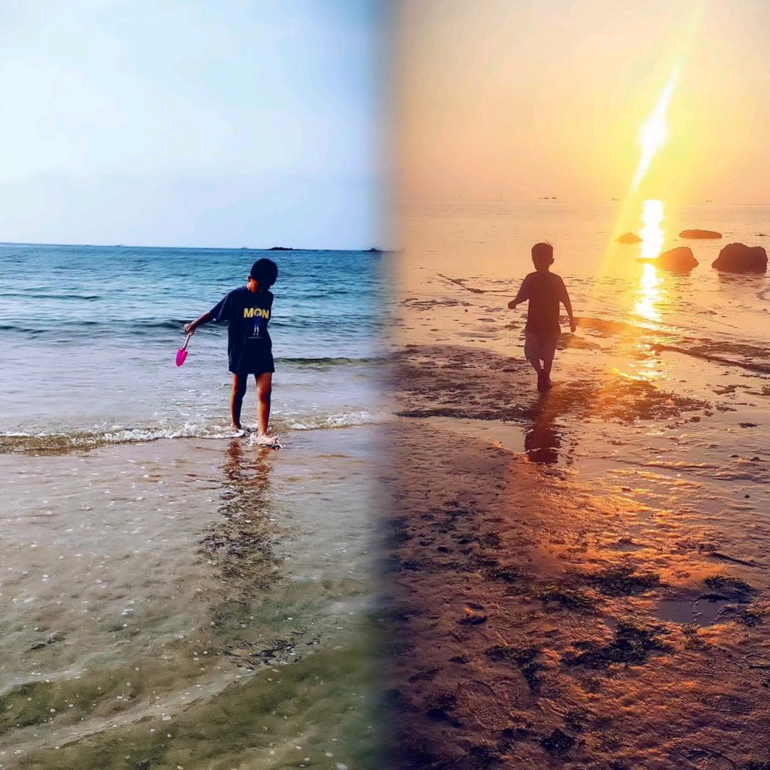 夏虫