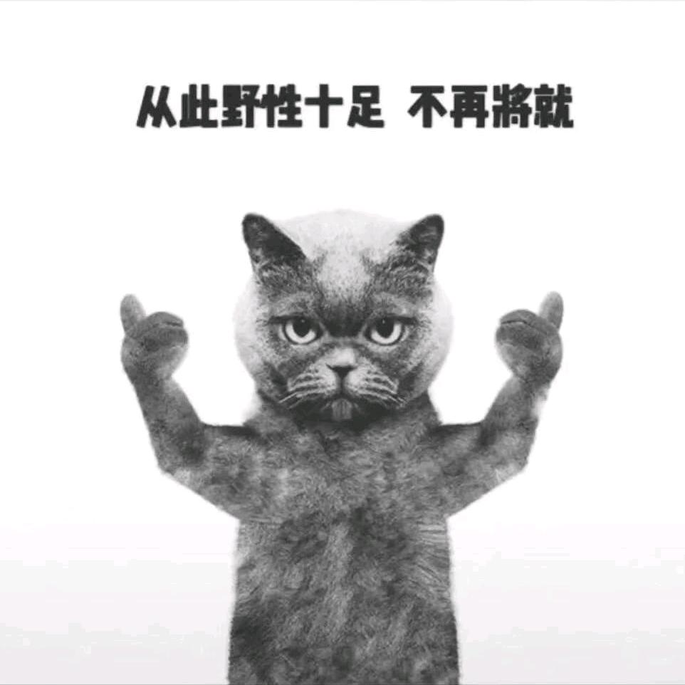 鱼丸粗面🍡