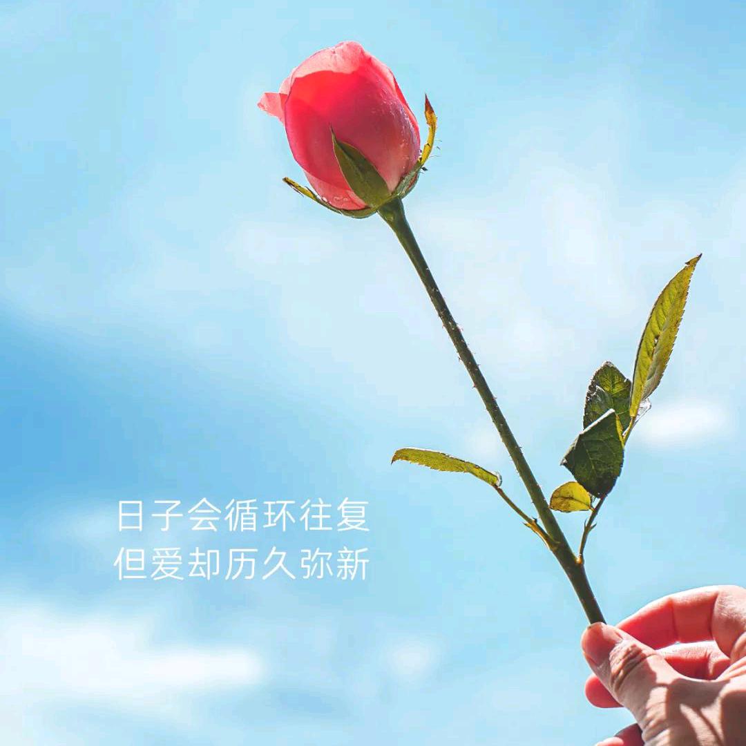 浅忆