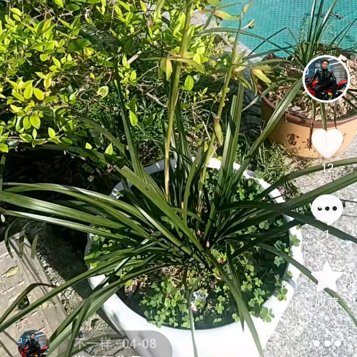 不一样