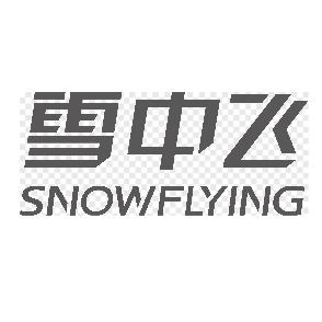 雪中飞时尚羽绒服旗舰店