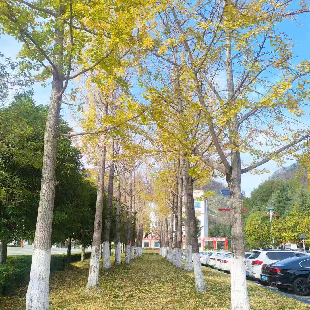 余生