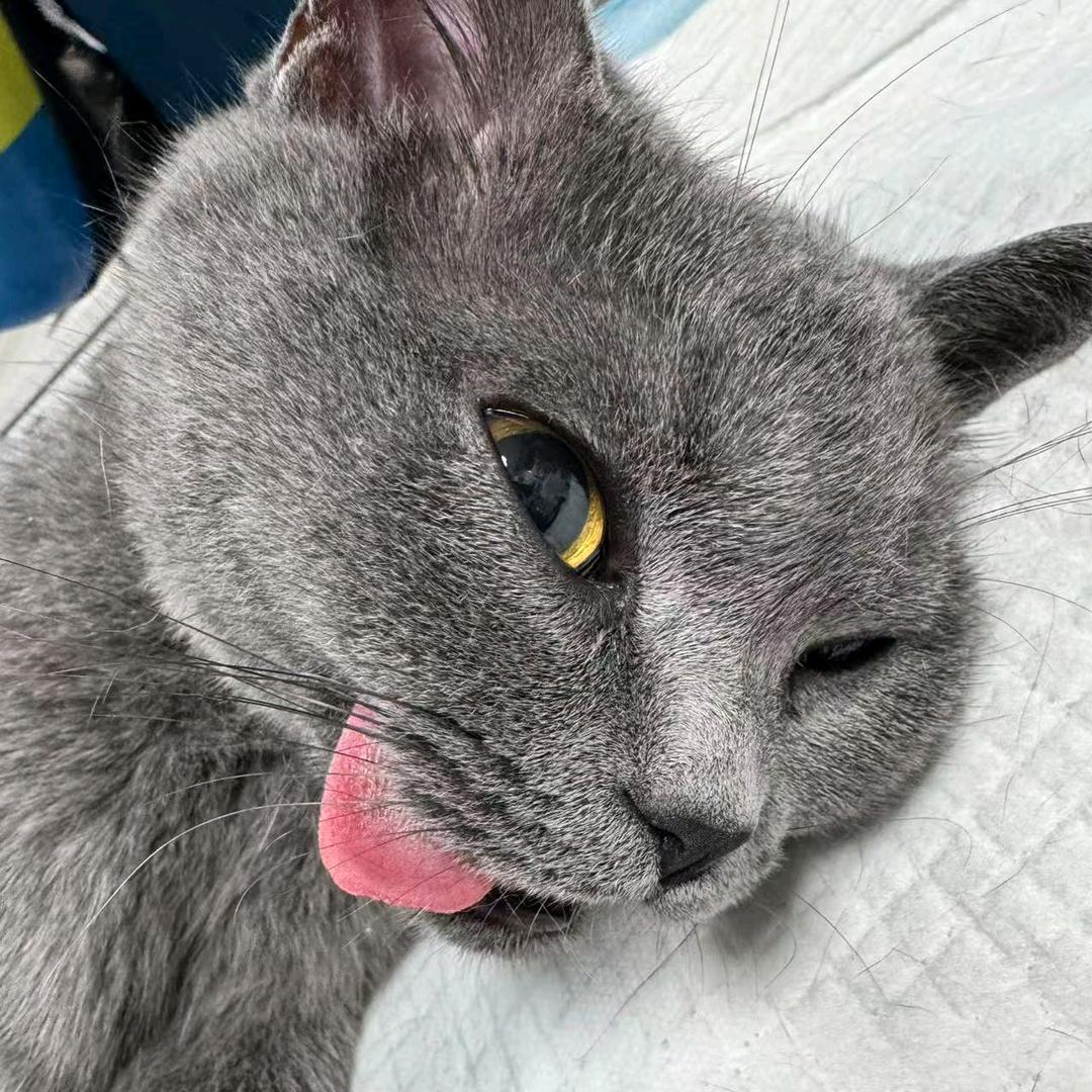 木渔🎣