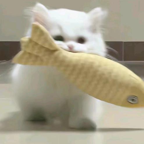 鱿鱼丝.