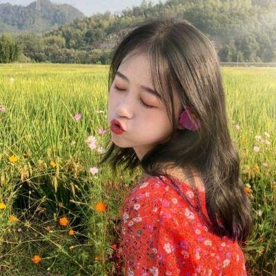 小美乡村生活