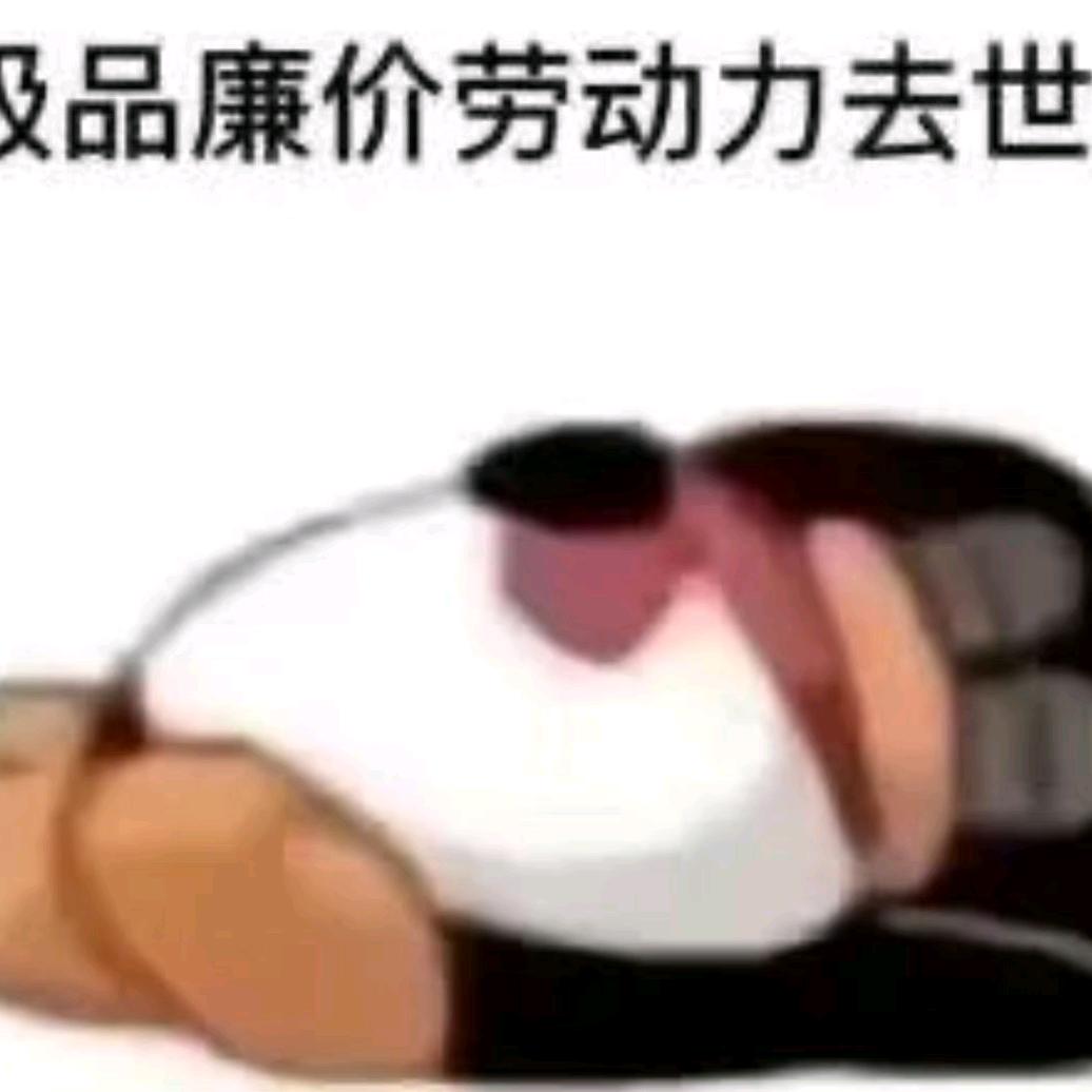 bingooo_