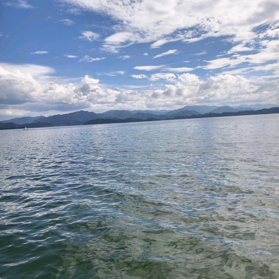 DD司机招募小凯