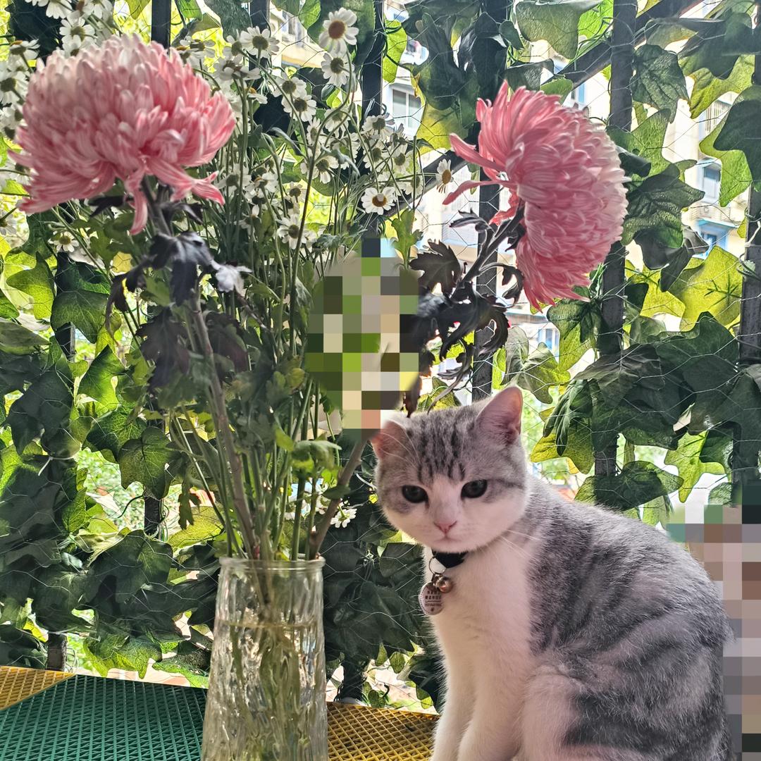 小辉