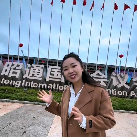 长安二嫂的日常