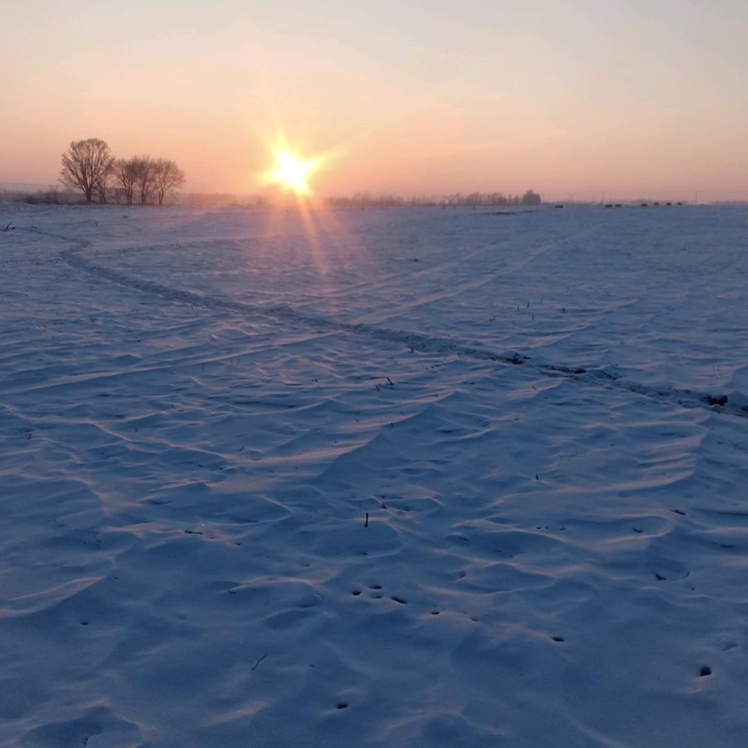 无聊哥（穷光蛋）