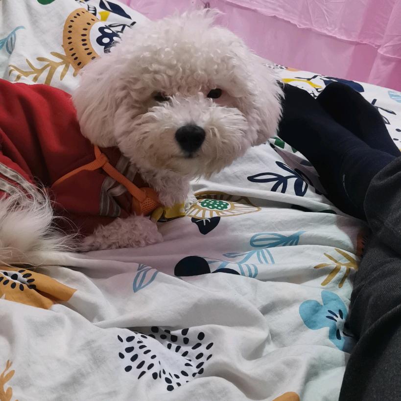 晓东