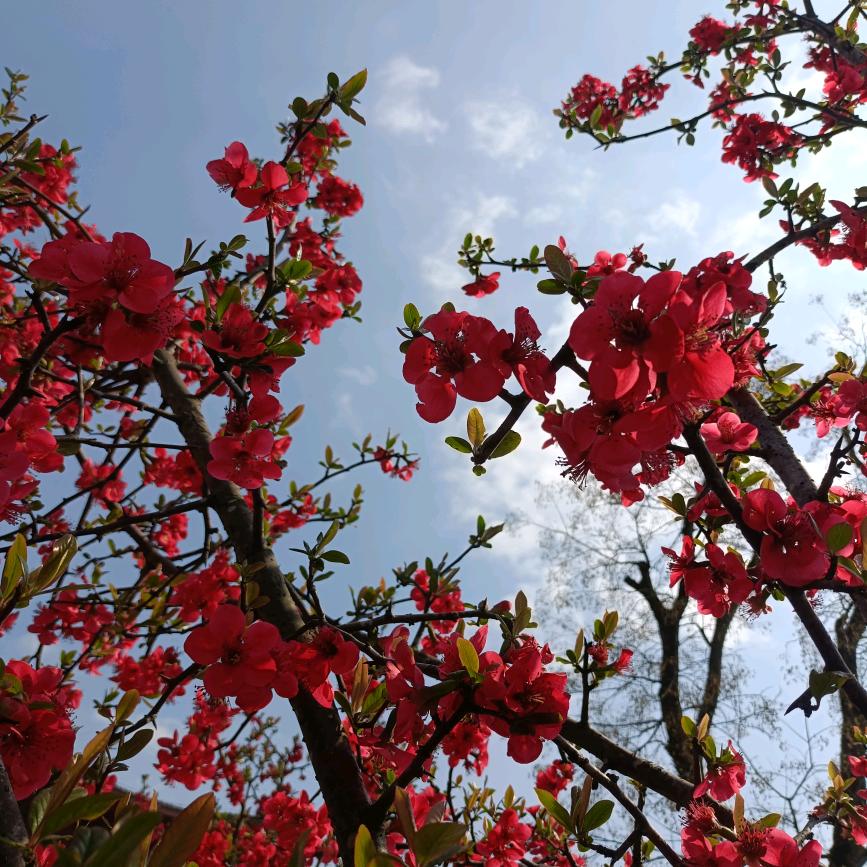 💞💞王事清零💞💞