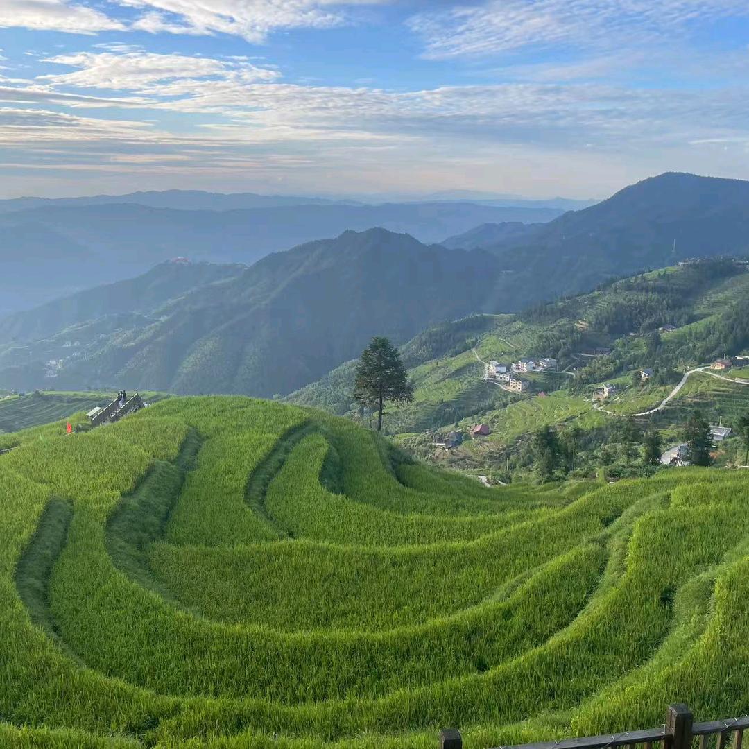 平凡