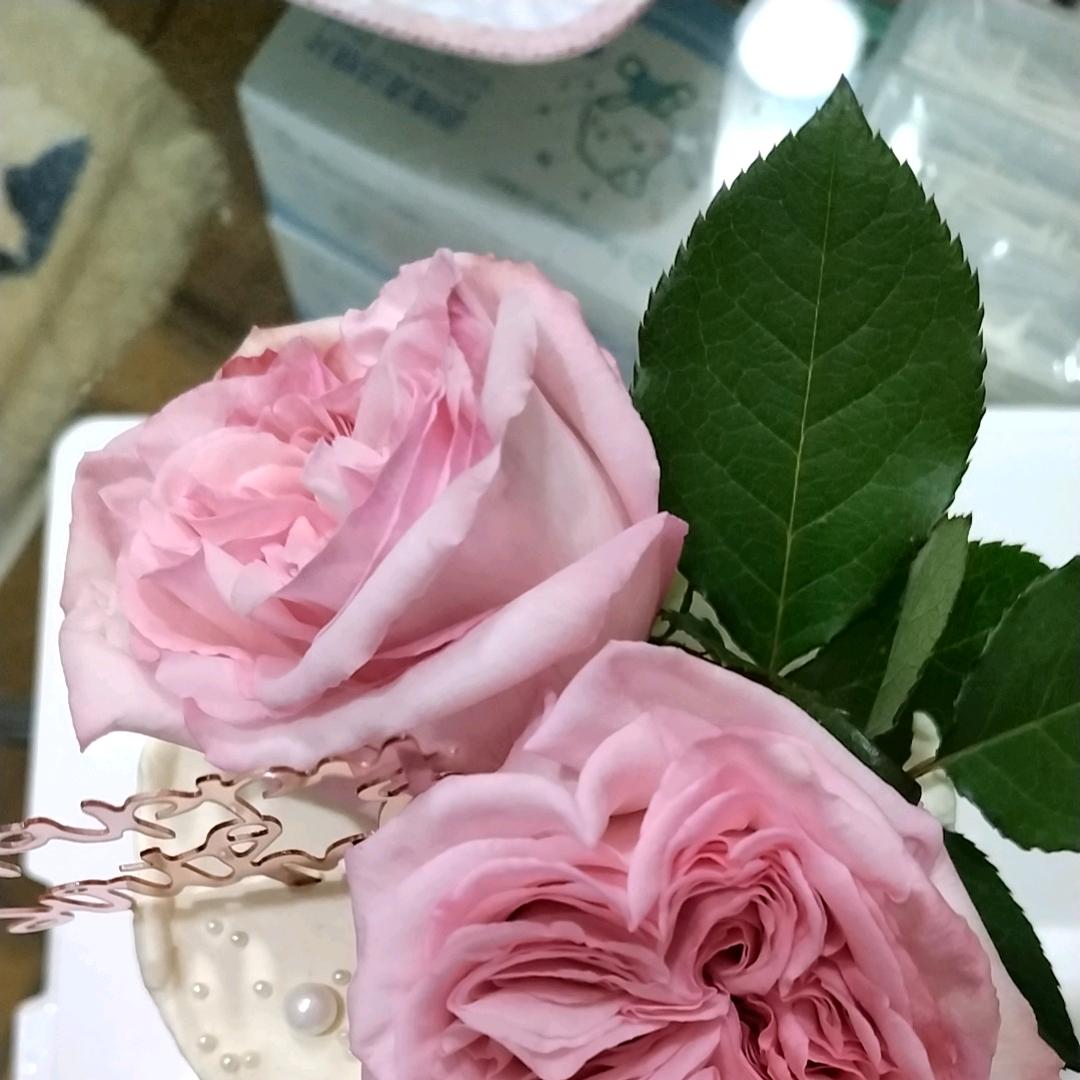 浪花