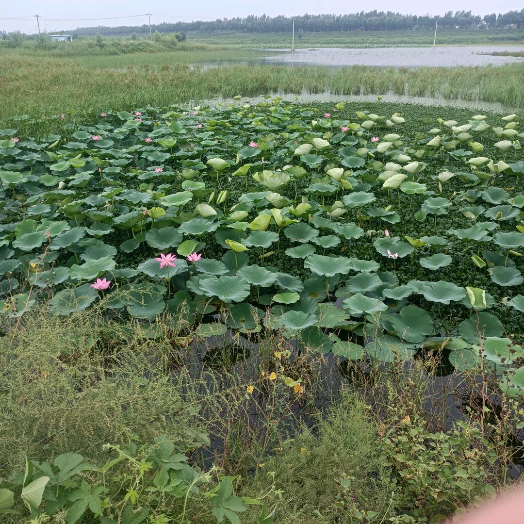 遇你有缘