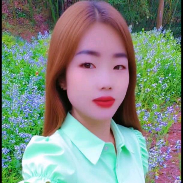 邓丽