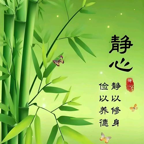净心