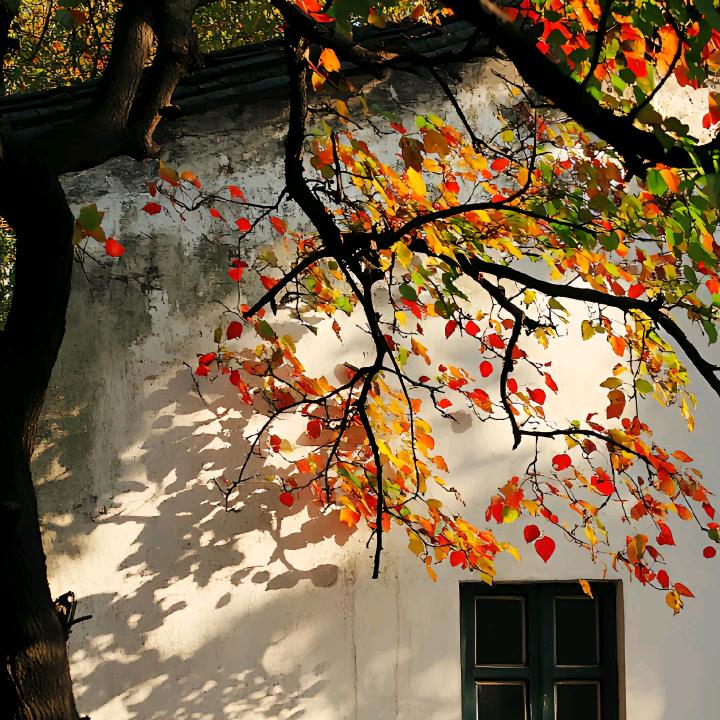 绘山川(燃尽版)