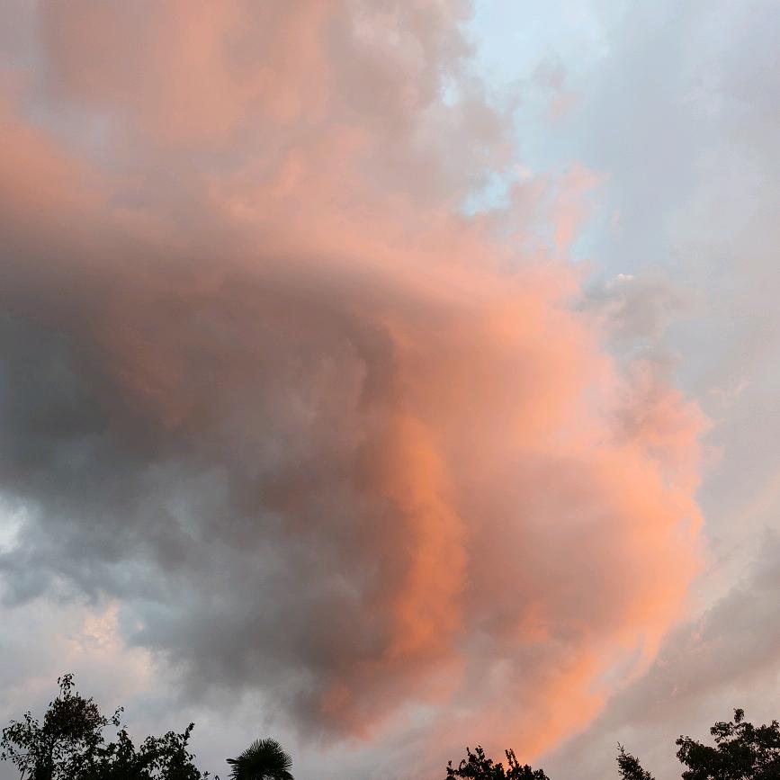 🥀⃟错把᭄敷衍ꦻ当承诺ꦿᭁ