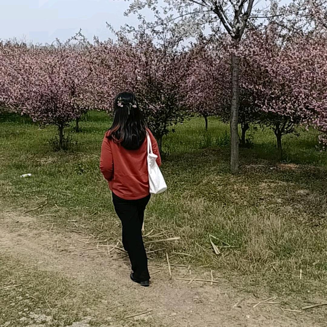 🌺自由自在🍀