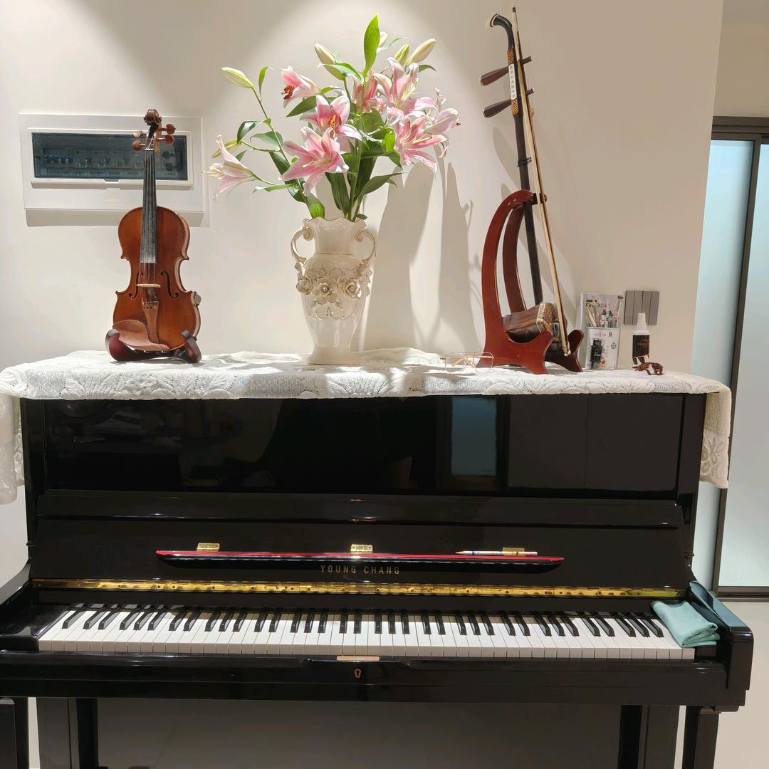 盘锦大洼星海琴行