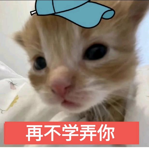 TvT