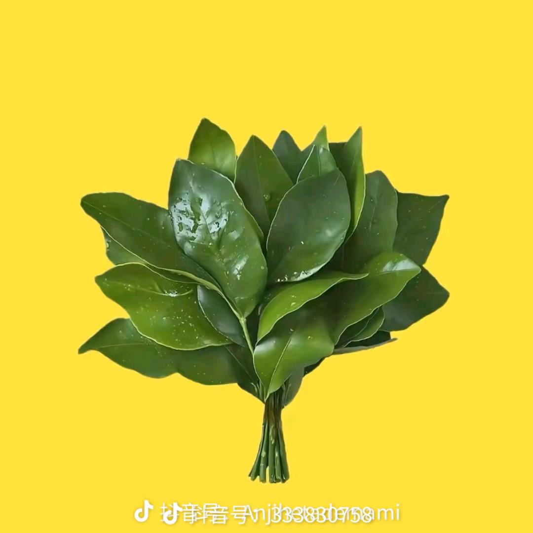 心若向阳